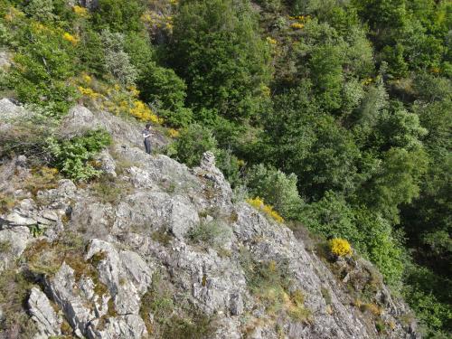 Thiers [14-05-2022](0726).jpg